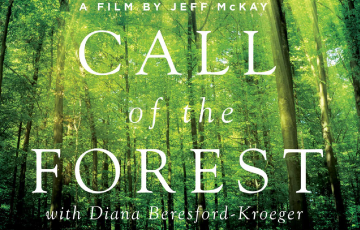 call of the forest screening