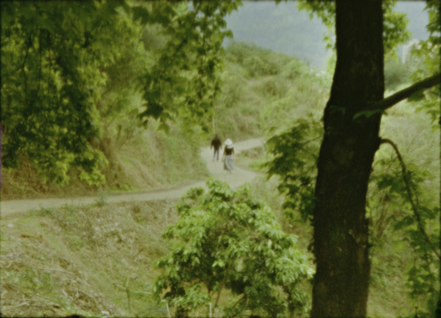 Film Featured Image
